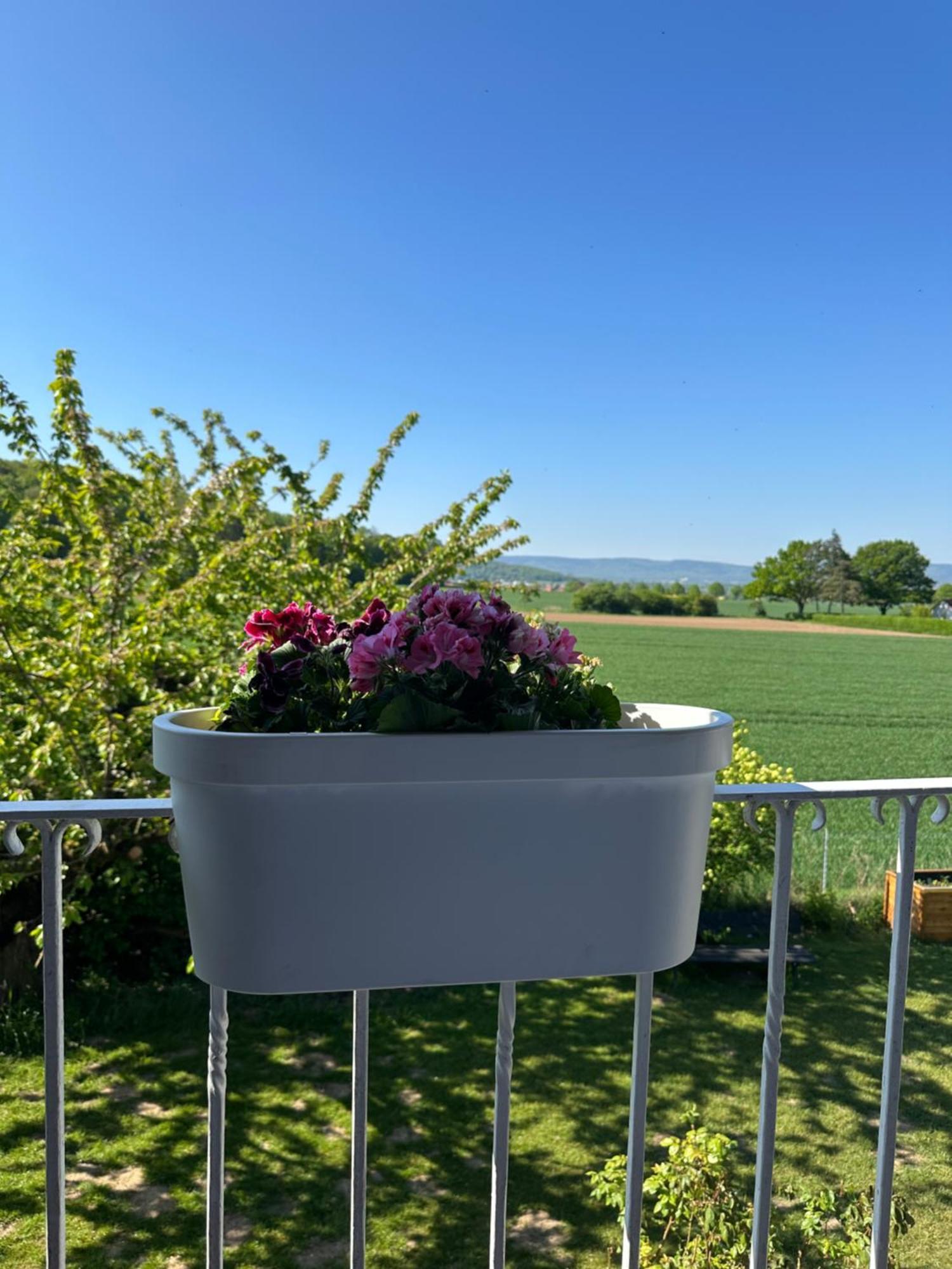 Deisterblick Ferienwohnung Am Benther Berg Gehrden  ภายนอก รูปภาพ